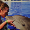 amandawilson679